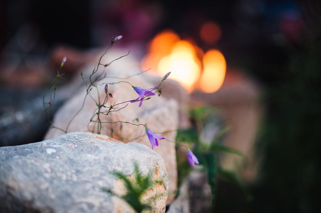 Bjoerkebo Camping Stöllet 외부 사진