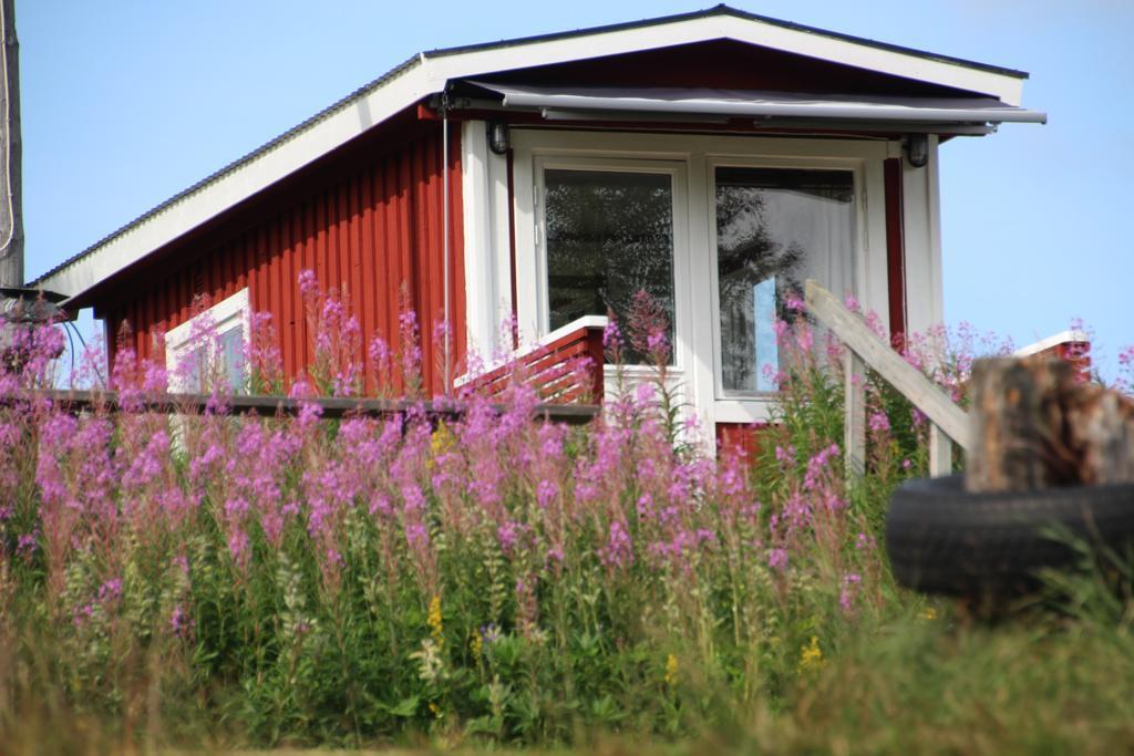 Bjoerkebo Camping Stöllet 외부 사진